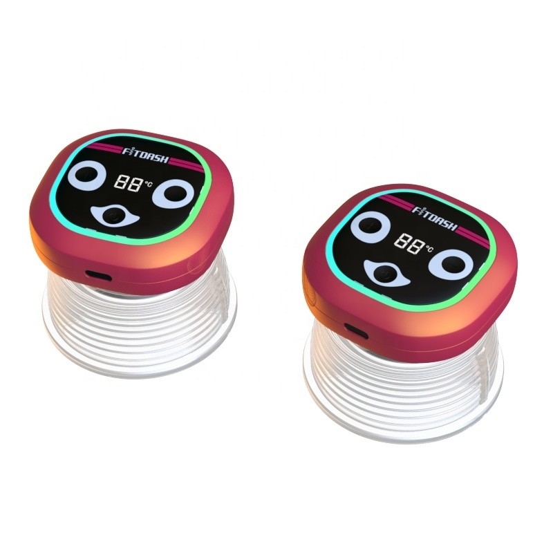 Fitdash Vakuum-Cupping-Massager Heißkompress und Gua Sha für Bein Meridian Bagger 100g